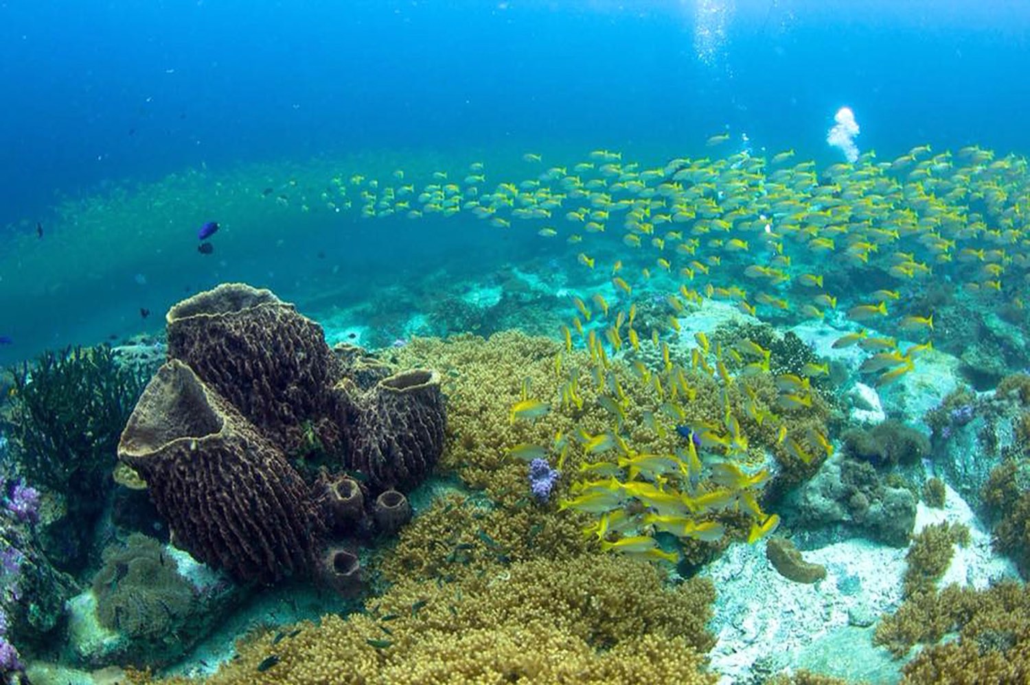 LIPE ISLANDS