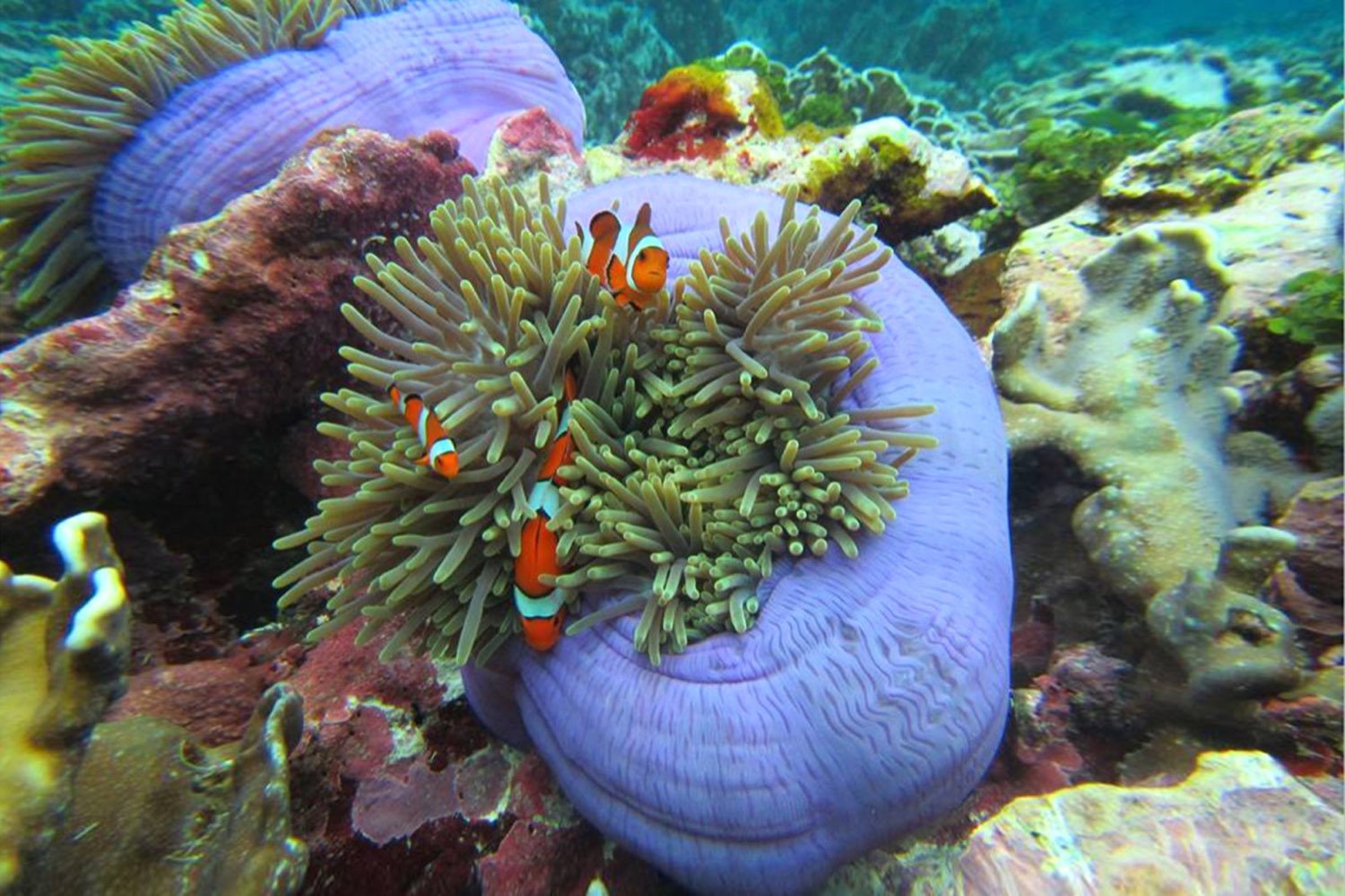 SIMILAN ISLANDS