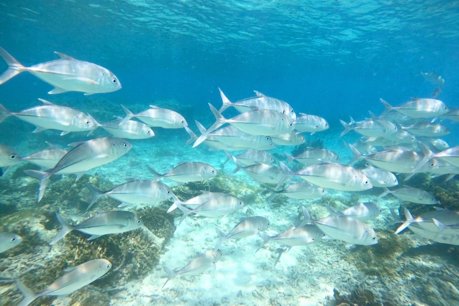 SIMILAN ISLANDS