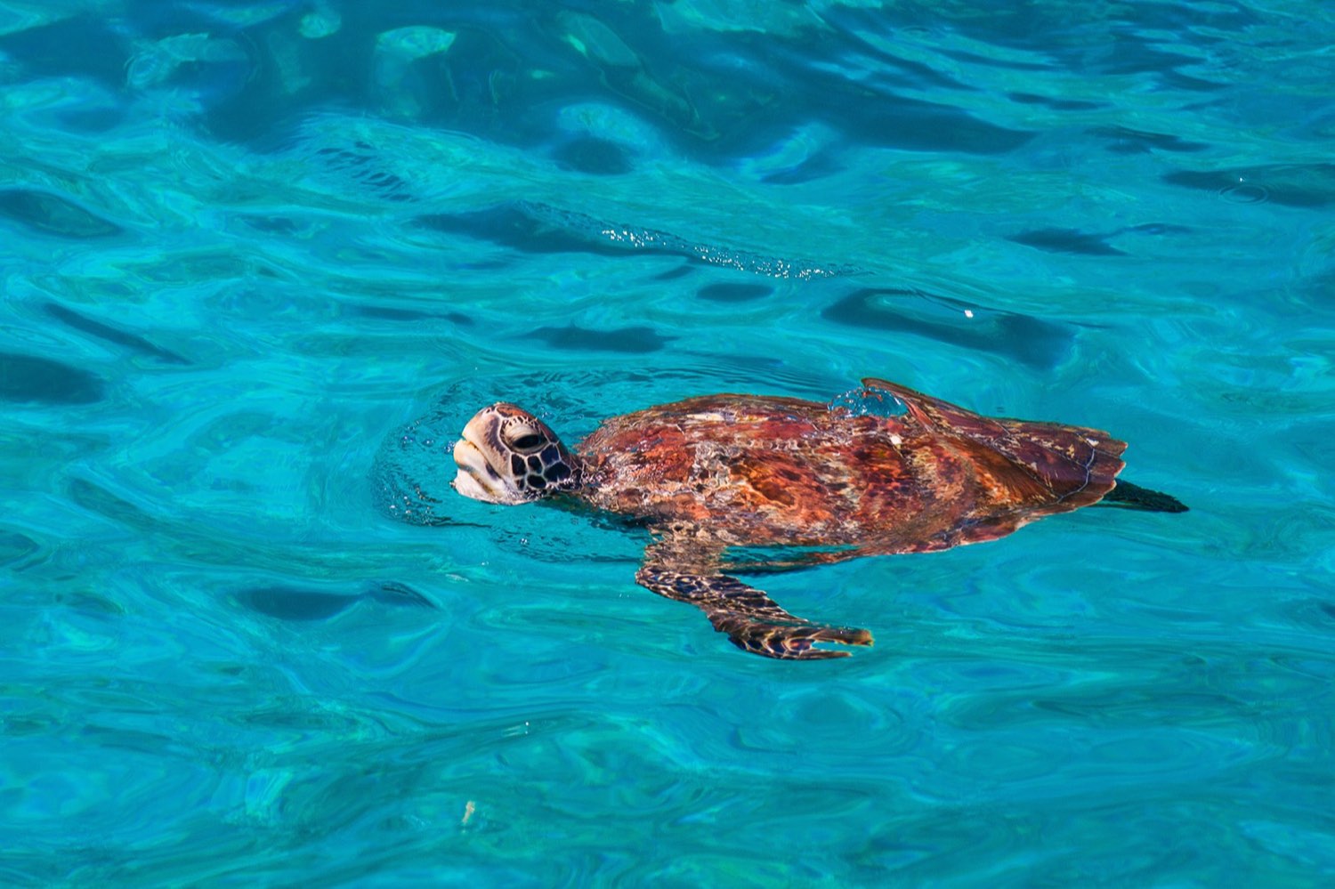 SIMILAN ISLANDS
