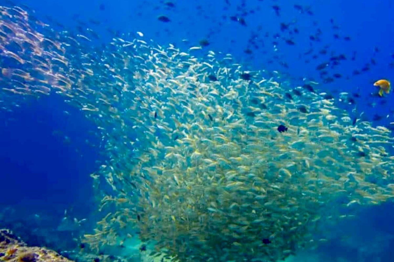 LANTA ISLAND