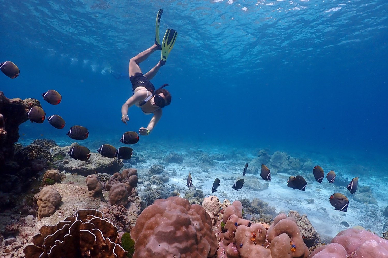 SIMILAN ISLANDS